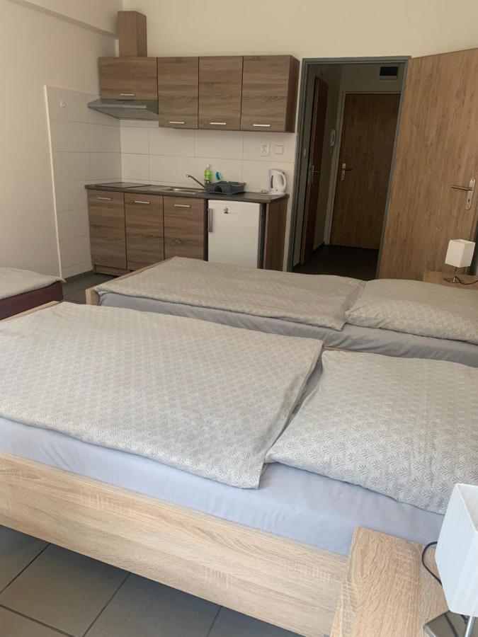 Apartmany Havlickova Mladá Boleslav エクステリア 写真