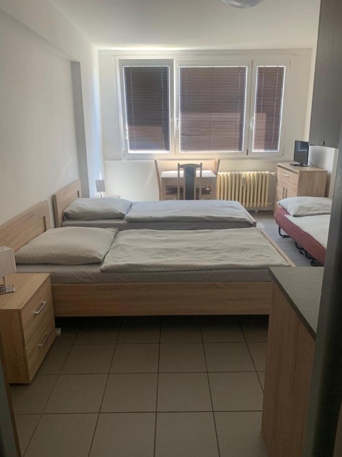 Apartmany Havlickova Mladá Boleslav エクステリア 写真